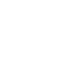 Sport Cars